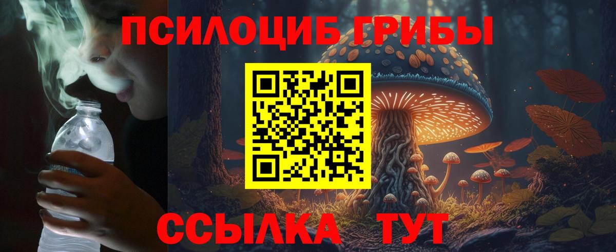 Галлюциногенные грибы Magic Shrooms  Вход с VPN  Саянск  Галлюциногенные грибы мицелий 